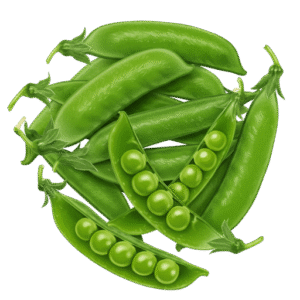 Peas – Oregano Sugar PodII