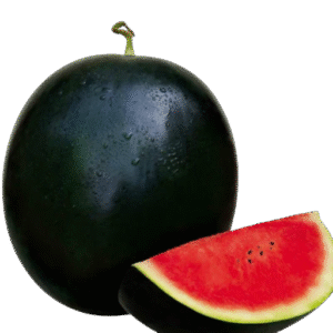 Watermelon – Sugar Baby