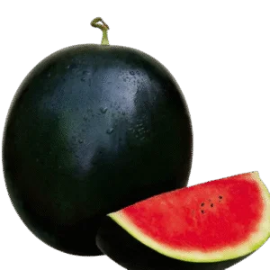 Watermelon – Sugar Baby