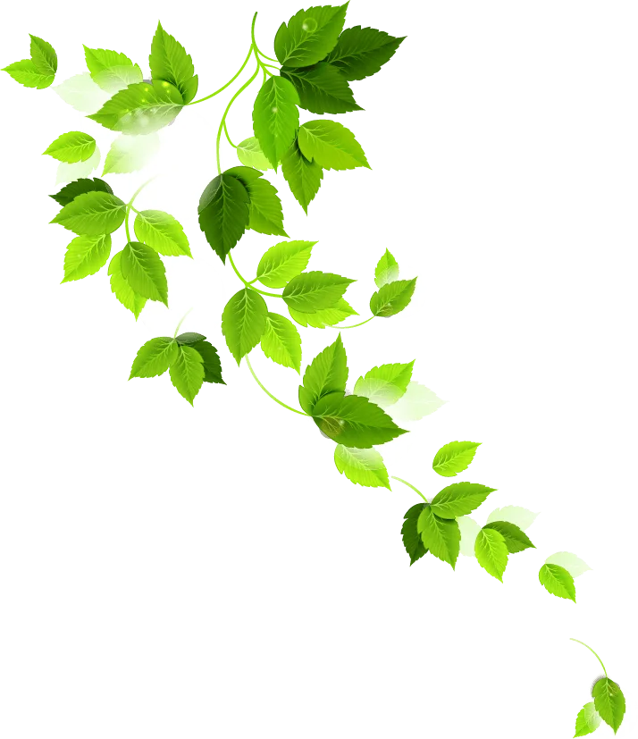 safariseedsafrica